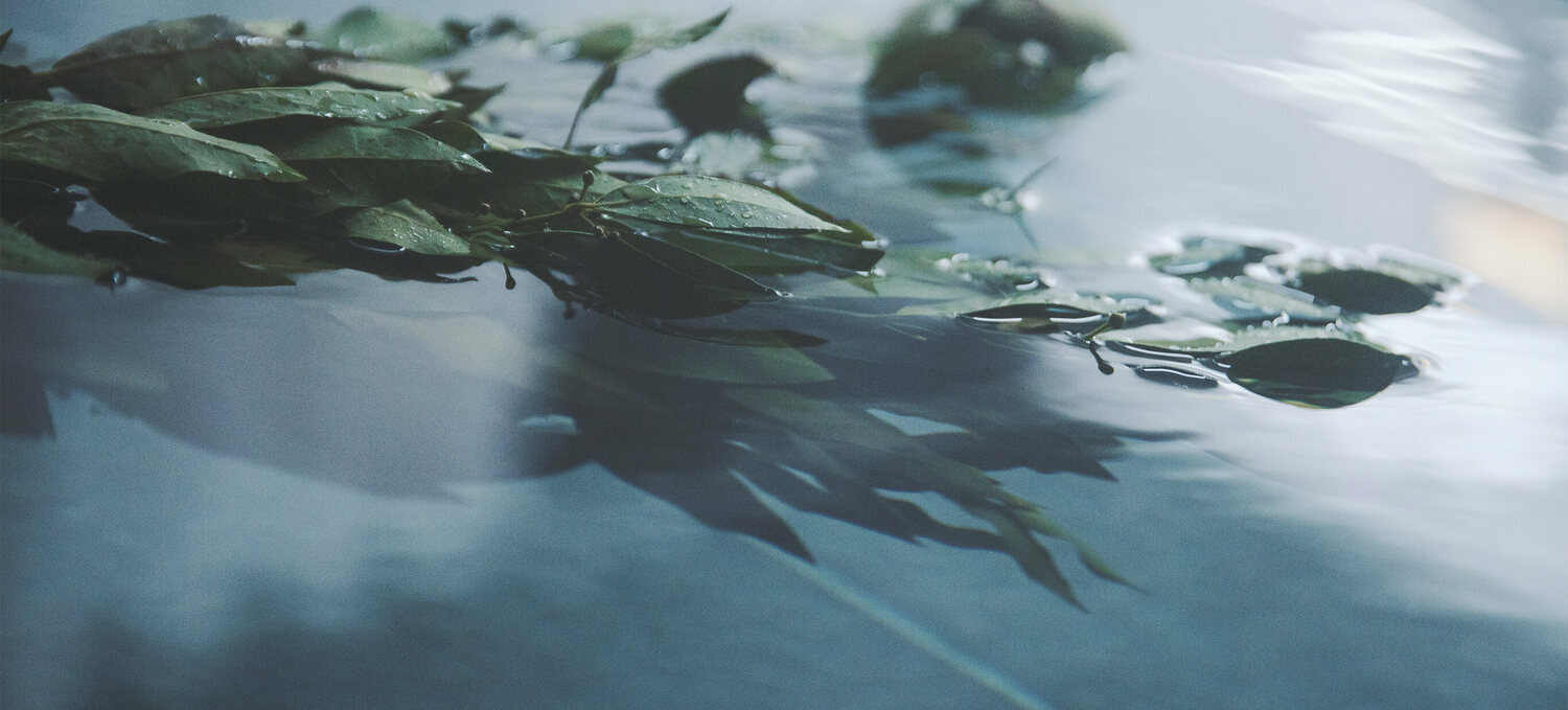 Animation Image